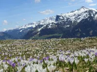 Apartment in Hippach with Mountain Views Hotels in Hippach