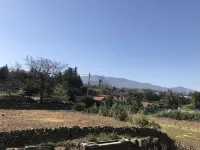 Terrace Hill Resort - Pet friendly