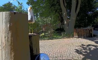 Ferienhaus Mit Garten in Graal-Müritz