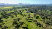 Quirindi Sunflower Motor Inn Hotels in Quirindi