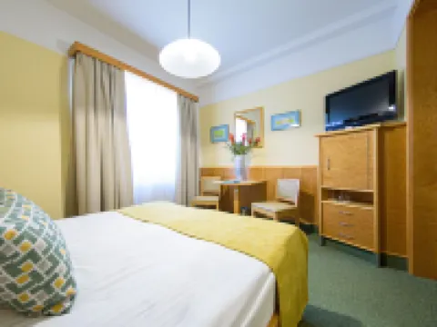 Hotel Toplice - Terme Krka Hotels in Novo Mesto