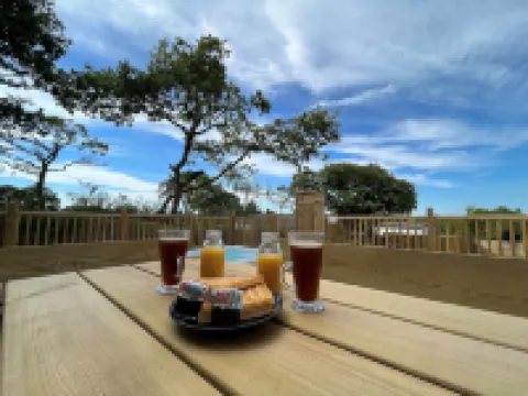 Aladdin Safari Tent Hotels in Carew