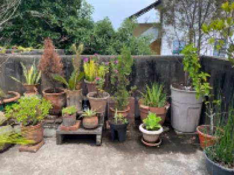 Habitaciones Eco-Terrazas Hotel berhampiran Catedral Metropolitana de Santiago de Guatemala