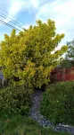 Madra Rua Organic Accommodation Hotels near Grianan of Aileach