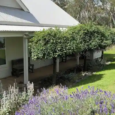 Snowy Mountains Accommodation Close to Thredbo Easy Access to Perisher Sleeps 6 Hotel Exterior