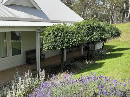 Andrea's White House Mini Residence * Sleeps 6 * Relax, Unwind, Reconnect. Hotel a Crackenback