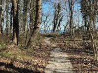 Süße Ferienwohnung in Mönchgut mit Direktem Strandzugang