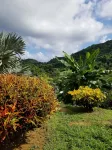 Top Ranking Hill View Guesthouse - Homestays