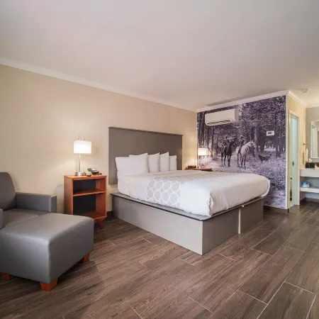 Equus Inn I75