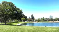 Silicon Valley Airbnb Hotels in Cupertino