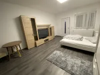 بنزيون نيون