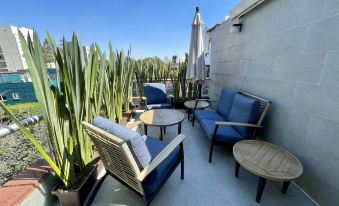 Colmena Hotel Cdmx Tonala