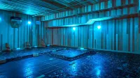 Blue Mountain Resort Mosaic Suites - spa