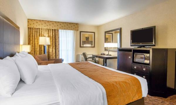 Comfort Inn & Suites