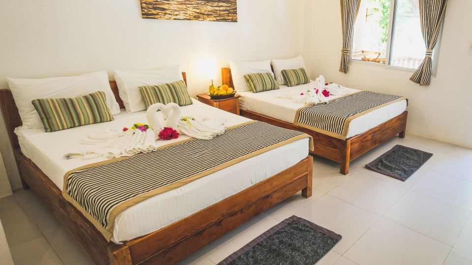 Evolution Dive and Beach Resort