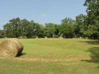 Stone Meadow Resort - Pet friendly