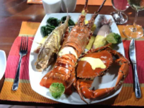 Laya Safari Resorts & Spa パラチューパーナのホテル