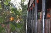 Impala Niezel Lodge & Guest House