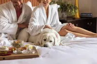 Hotel Granduca Houston - spa