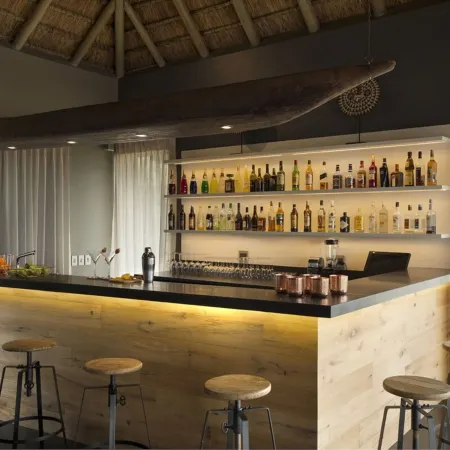 Mhondoro Safari Lodge & Villa