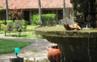 Hotel Hacienda Gualiqueme Hotels in Choluteca
