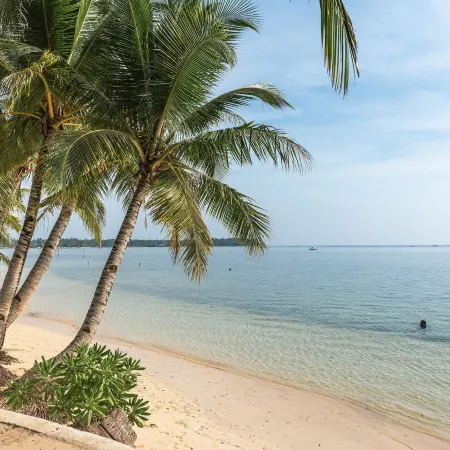 Siargao Island Villas