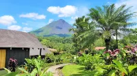 Hotel Lavas Tacotal Hotels near Tabacon Hot Springs