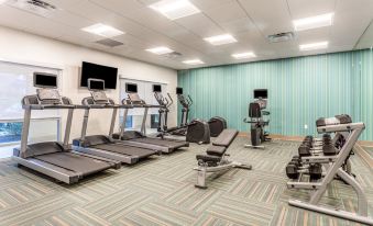 Holiday Inn Express & Suites Florence - Cincinnati Airport