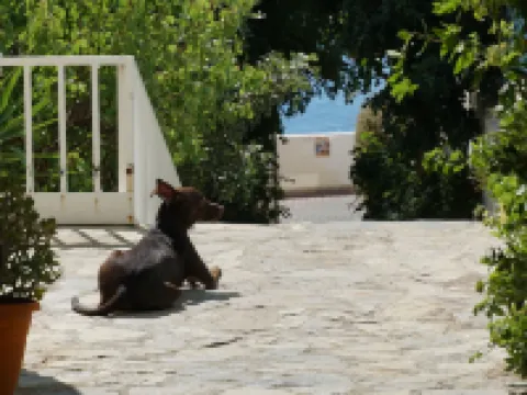 Galini Mare Hotels in Lampi