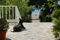 Galini Mare