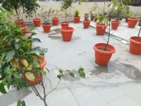 Hotel Prince Palace (The Green)