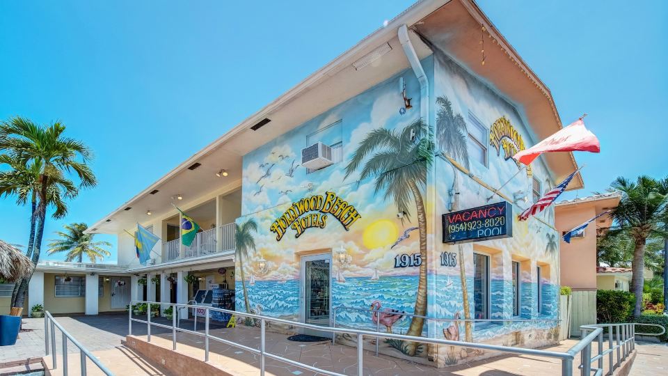 Hollywood Beach Seagull