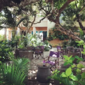 梅迪納棕櫚度假飯店 住宿飯店