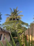 Le Saly Hotel & Hotel Club Filaos - All Inclusive - Havudsigt