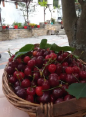 Archontiko Kantartzi