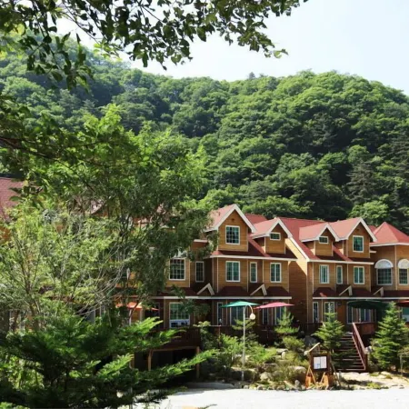 White Village Pension