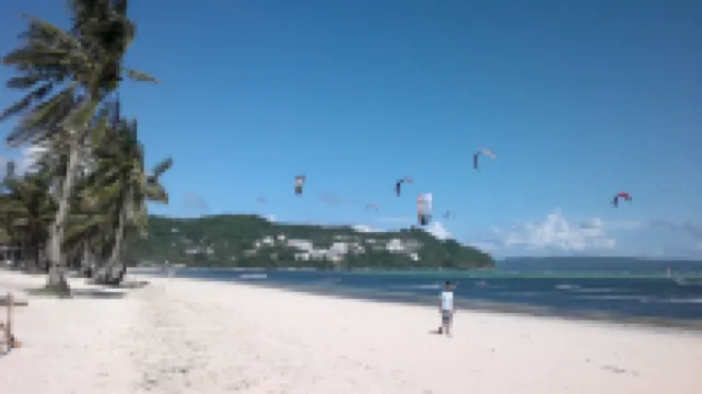 레이지 도그 베드 & 브렉퍼스트