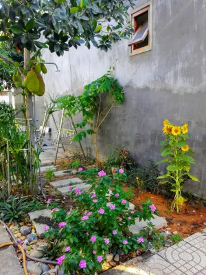 The House 17/1 Các khách sạn ở Thanh Hải