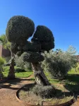 Fellah Hotel Hotel a Srayeri