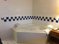 Quality Inn I-94 near Wings Stadium - Hot Tub