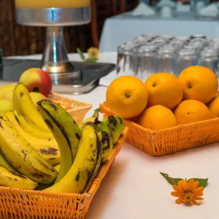 Sunbird Livingstonia Beach