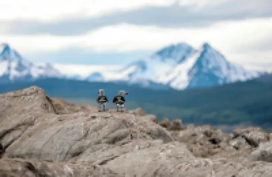 Patagonia Home - Ushuaia Center