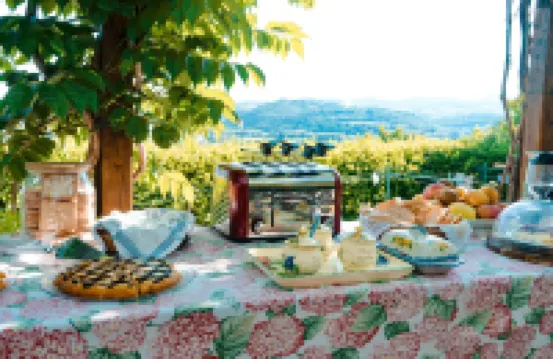 波德塞特皮格酒店