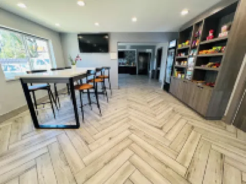 이코노 로지 트레이시