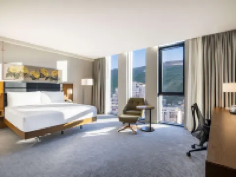 ヒルトン ガーデン イン トビリシ チャフチャバーゼ トビリシのホテル