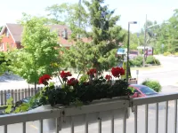 Saga Resort Hotels in Wasaga Beach