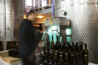 Vinifera Vineyards Hotel - Barer