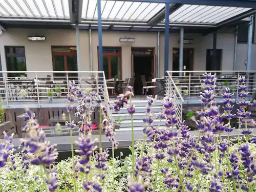 Alexxanders Hotel & Boardinghouse, Restaurant