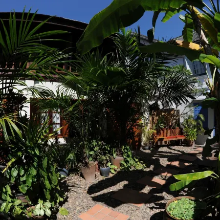 Lotus Villa
