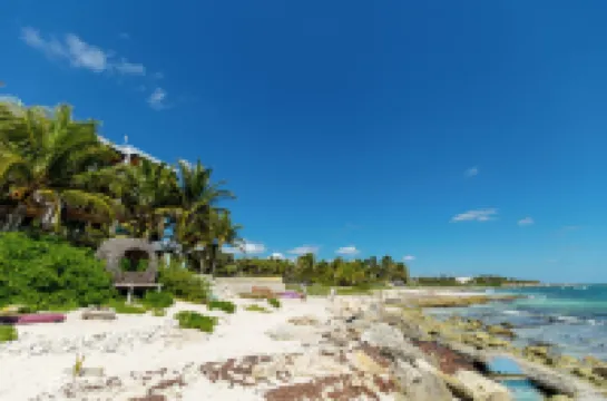 안젤리나 28 비치프런트 앤드 패밀리 아파트먼트 - 모던 앤드 릴랙싱 롱 스테이즈 (칸쿤 공항에서 20분 거리)